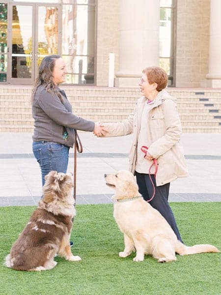 About Us - Certified Dog Trainers Southwester Houston - Sweetwater Bark