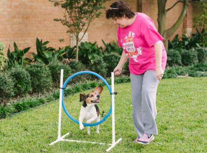 Adult Dog Classes Sweetwater Bark Southwestern Houston